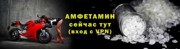 шишки Абаза