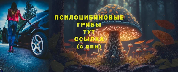 шишки Абаза
