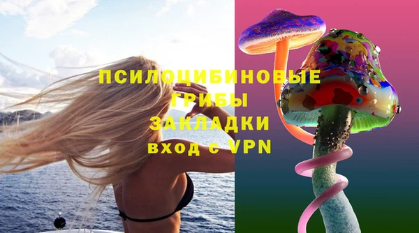 шишки Абаза