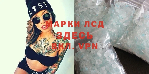 шишки Абаза
